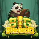 Push Gaming tarafından Big Bamboo Slot Oyna