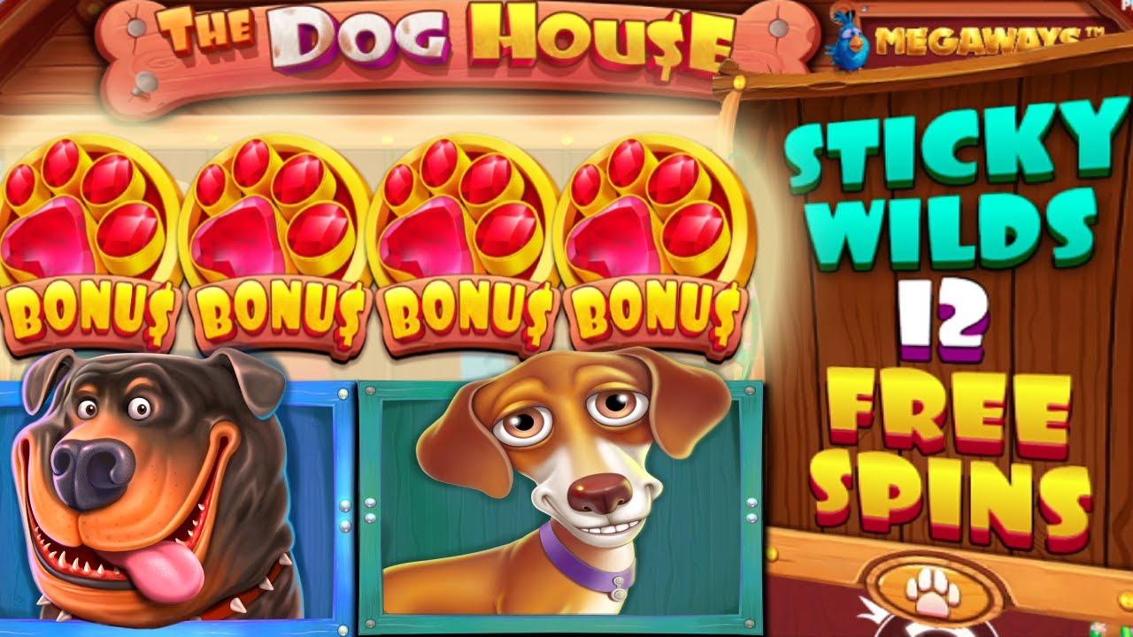 Dog House Megaways sticky wilds bonus